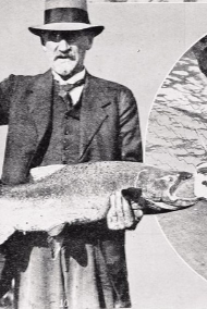 Lake Falconer Ayson, Chief Inspector of Fisheries