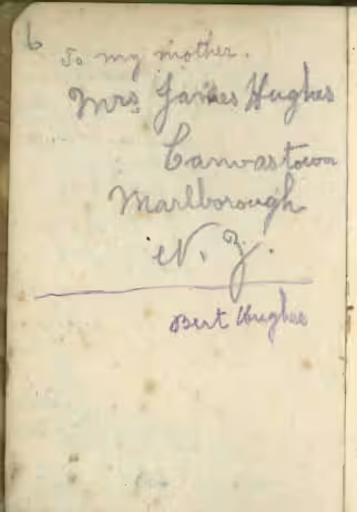Cover: Hughes Diary 1916